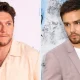 Niall Horan Pays Tribute To Liam Payne On Heartbreaking New Song
