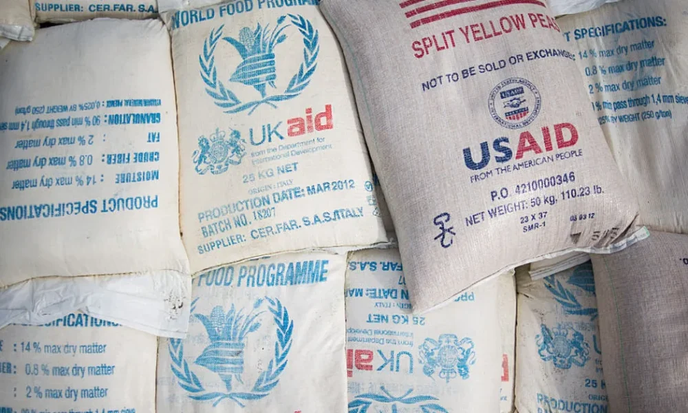 UK Foreign Aid Cuts Threaten Child Hunger Warns Labour Peer