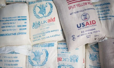 UK Foreign Aid Cuts Threaten Child Hunger Warns Labour Peer