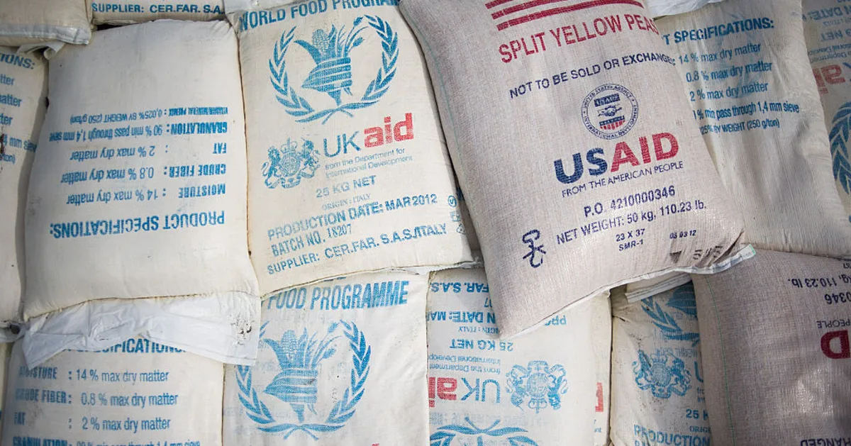 UK Foreign Aid Cuts Threaten Child Hunger Warns Labour Peer