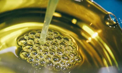 Dementia Prevention: How Swapping Animal Fats For Vegetable Oils Lowers Risk