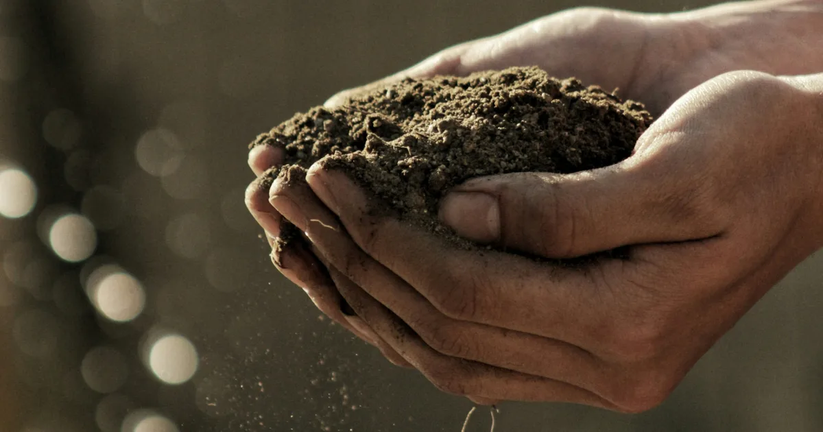 The Best Plants For Every Type Of Soil