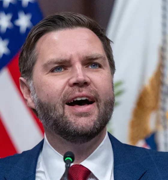 JD Vance Responds To Joe Rogan Insulting MAGA 'Dorks'