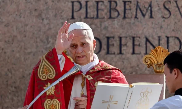 Pope Leo XIV presides over Palm Sunday Mass at St. Peter's Square in Vatican City.