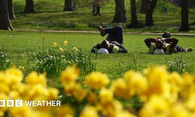 UK weather: Spring to make comeback with warmest day of year forecast