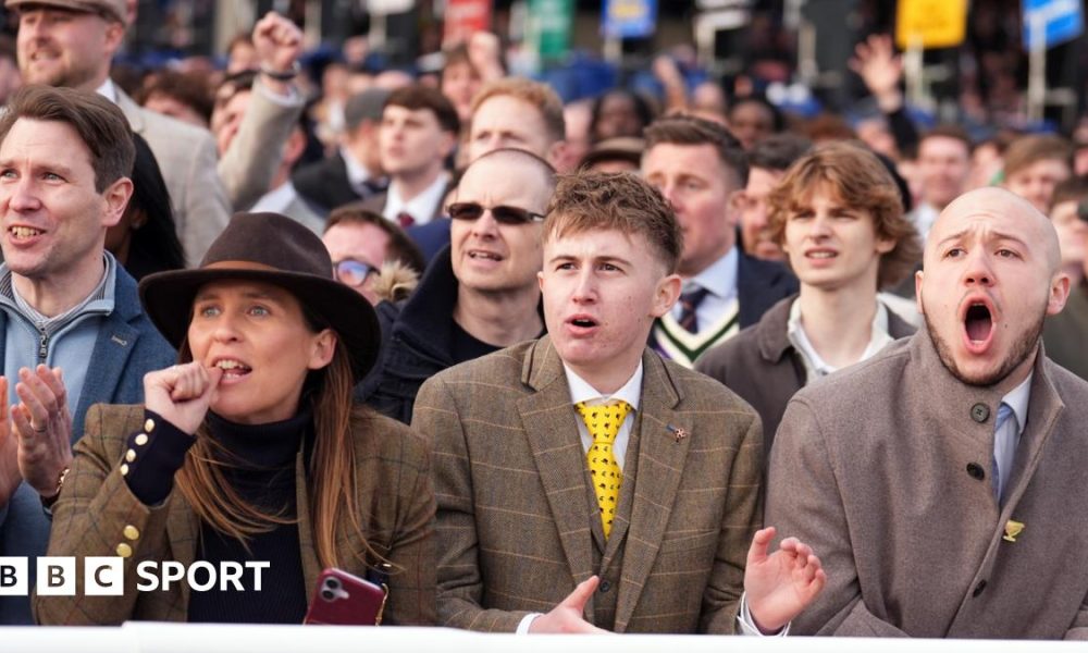 Martator running at Cheltenham