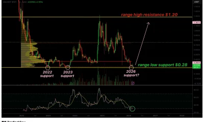 Cardano price tests historic 2022 support as oversold conditions hint at reversal - 1