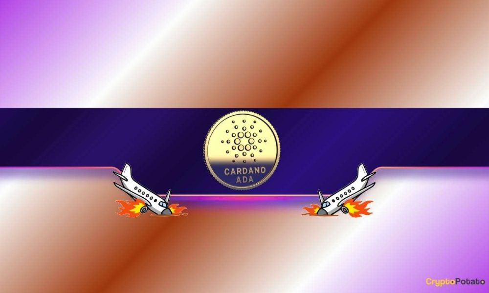 Cardano Called the 'Most Useless Network in Crypto' as ADA Down 92% From ATH