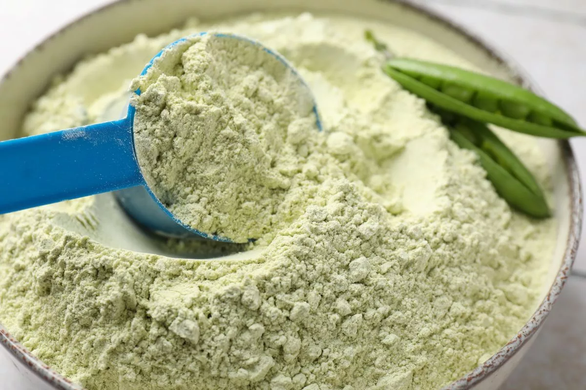 Roquette develops pea protein isolate