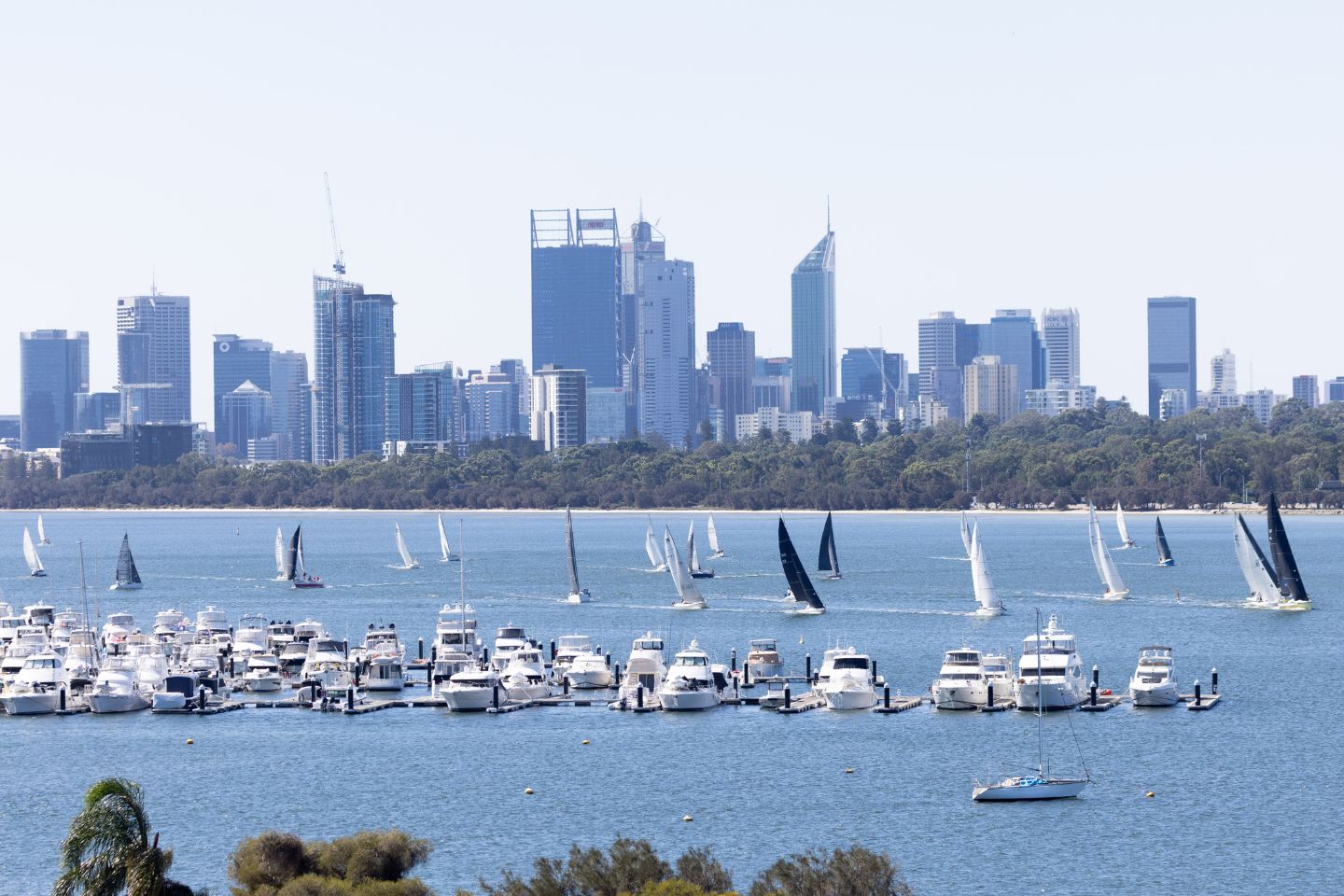 Applecross resident sues neighbour over alleged blocked river views