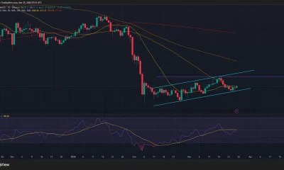 BNB price is trading within an ascending parallel channel pattern on the daily chart.