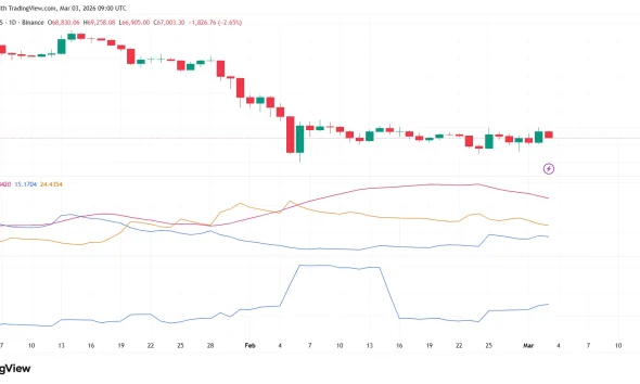 VanEck CEO says Bitcoin may be forming a bottom despite 2026 bear cycle - 1