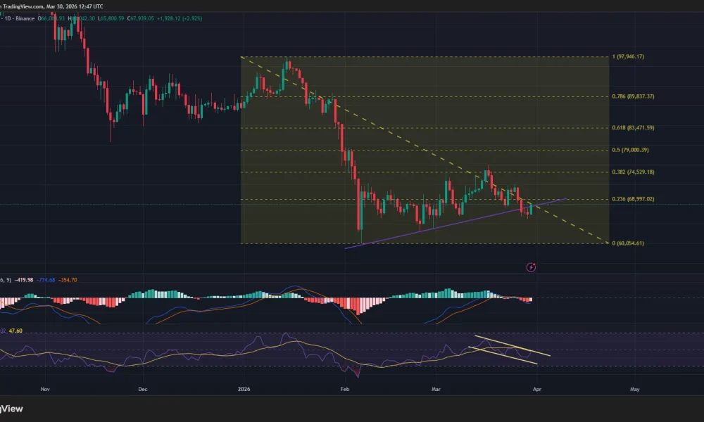 Bitcoin price, MACD, and RSI chart.