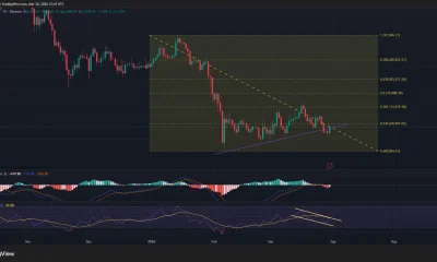 Bitcoin price, MACD, and RSI chart.