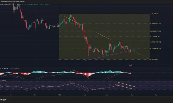 Bitcoin price, MACD, and RSI chart.