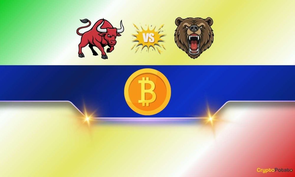 Major Rally Ahead or Another Dead-Cat Bounce?