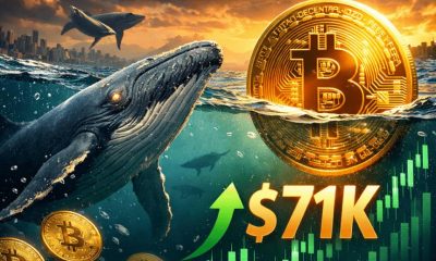 Crypto Breaking News