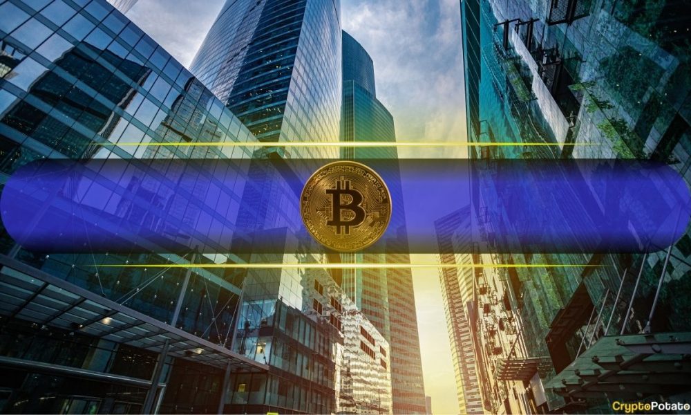 Bitcoin Could Win Big as Central Banks Prepare to Hold Rates