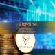 Why Bitmine Just Bought Another 61,000 ETH