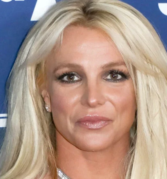Britney Spears Fans Debate The Pop Star’s ‘Nastiest’ Song
