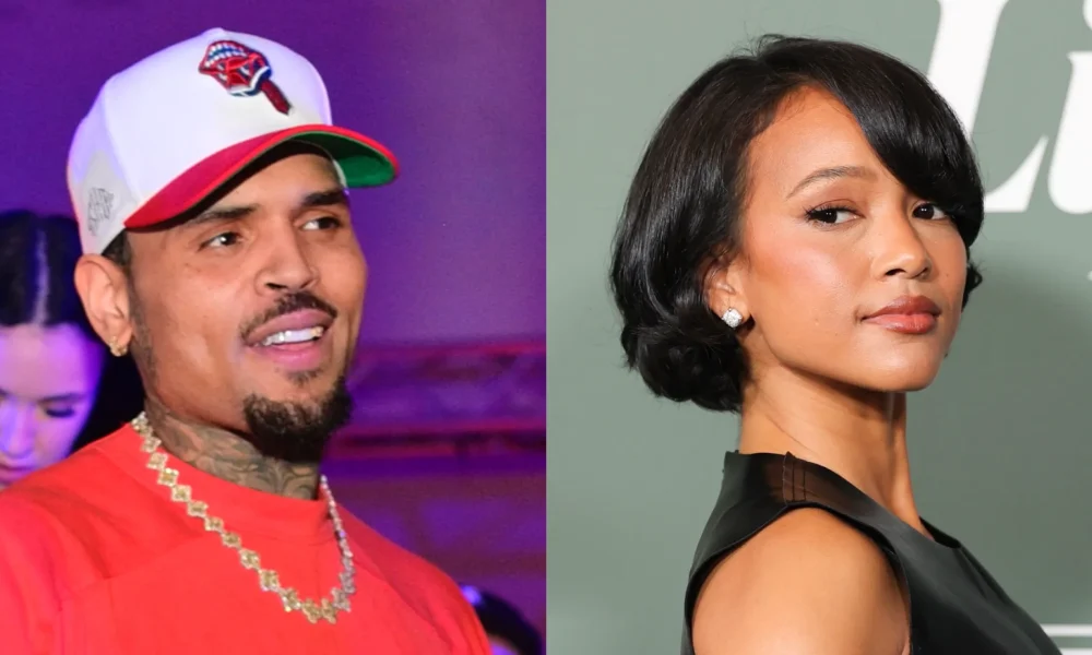 Chris Brown's Apparent Comment To TikToker Who Posted A Clip About Looking Like Karrueche Tran Has Social Media Users Dropping Side-Eyes (VIDEO)