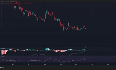 Dogecoin price, MACD, and RSI chart.