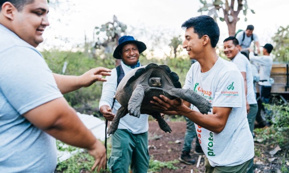 What went right this week: a giant returns, plus more