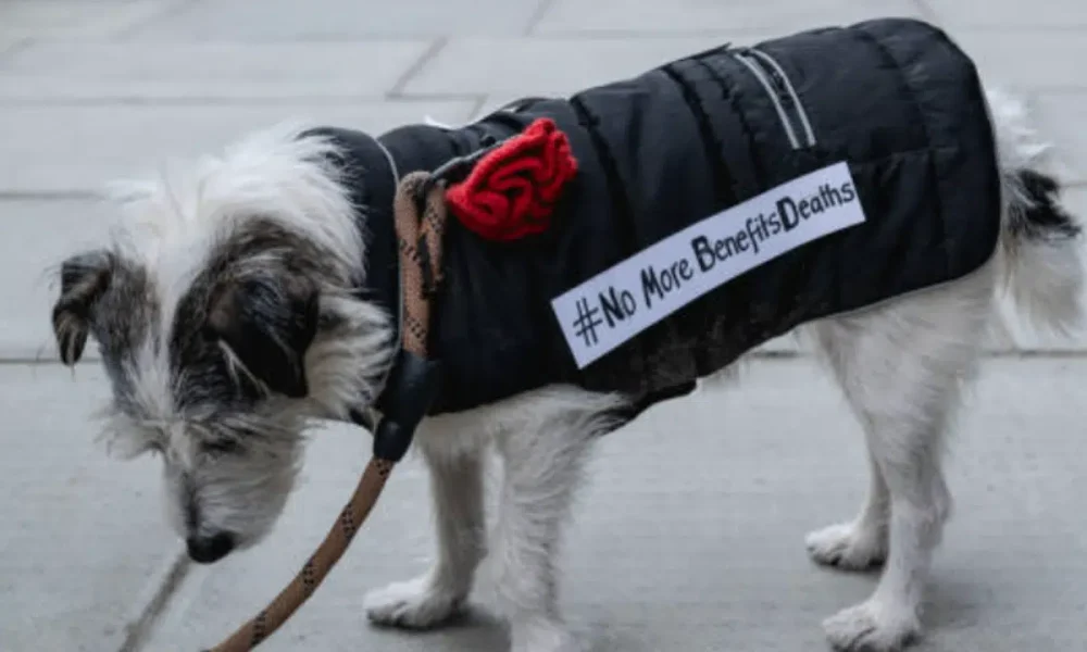 DWP still pretending to care about claimants mental health