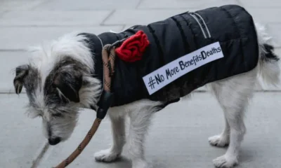 DWP still pretending to care about claimants mental health