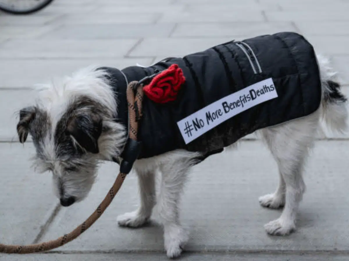 DWP still pretending to care about claimants mental health