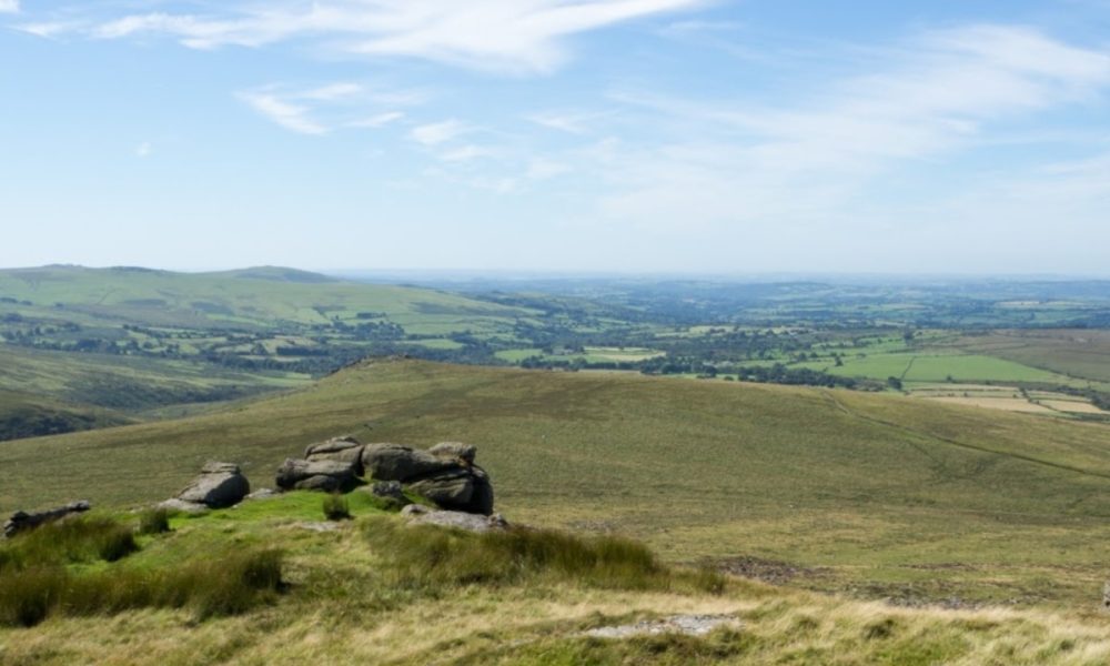 Wild Justice wins High Court ruling on Dartmoor overgrazing