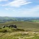 Wild Justice wins High Court ruling on Dartmoor overgrazing