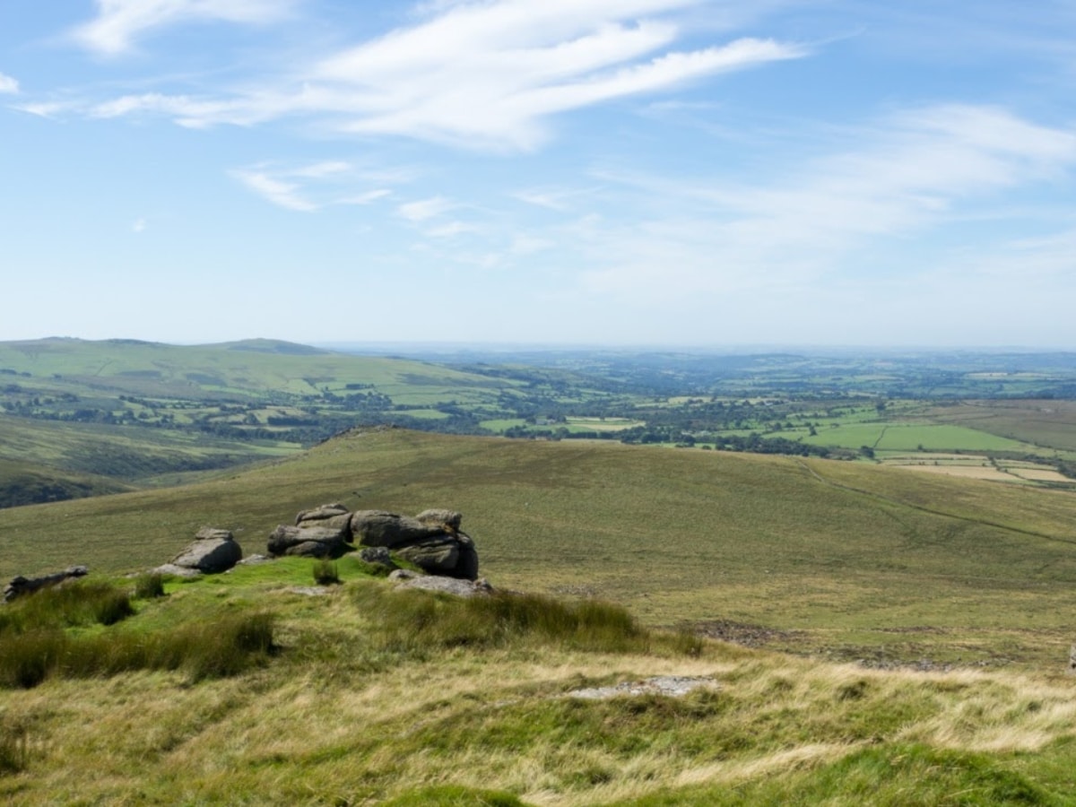 Wild Justice wins High Court ruling on Dartmoor overgrazing