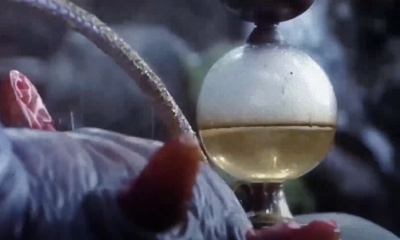 The Forgotten '80s Fantasy Classic With 100% On Rotten Tomatoes