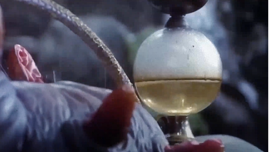 The Forgotten '80s Fantasy Classic With 100% On Rotten Tomatoes