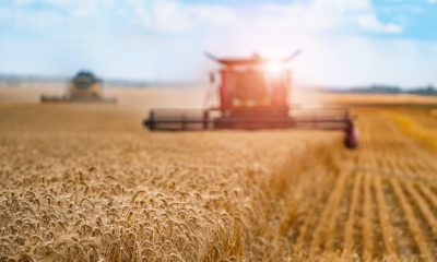 Opinion: Supply shock scenario fuel for thought