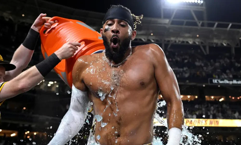 Hottest Rising Stars in Media