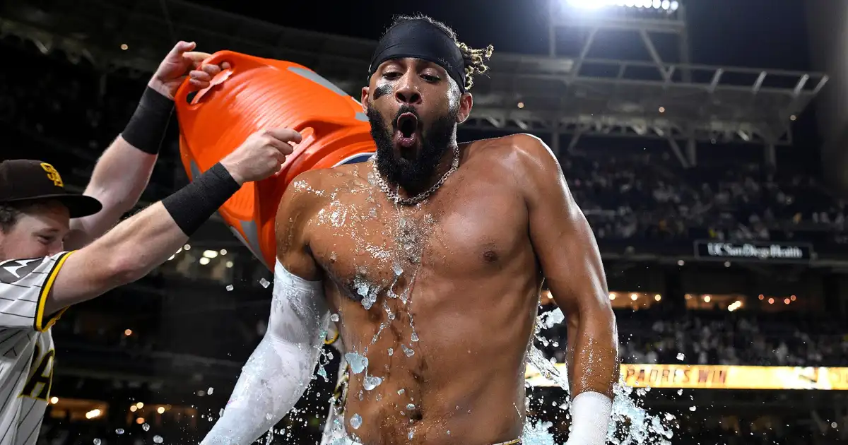 Hottest Rising Stars in Media