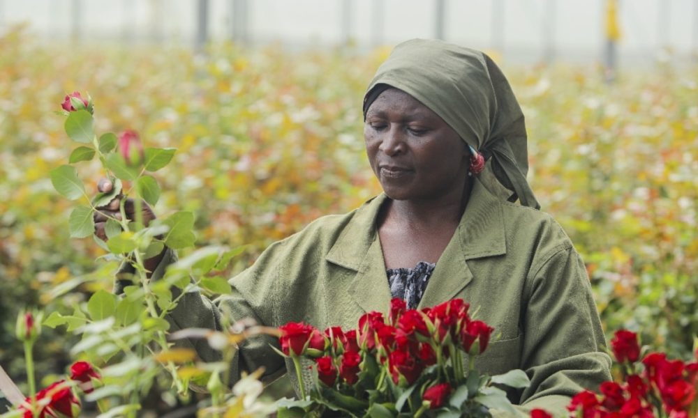 96% of UK adults unaware most Mother’s Day flowers come from East Africa