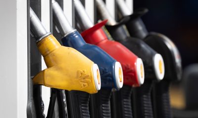 ACCC puts fuel industry on notice over price hikes