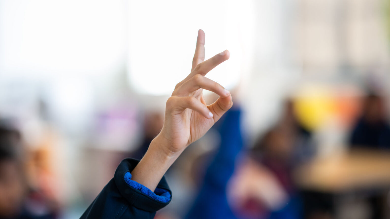 Ofsted is pushing the bigotry of low expectations