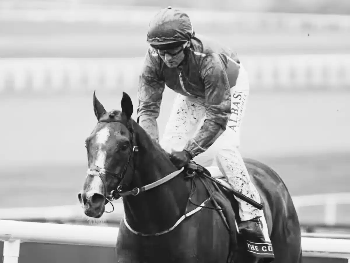 Second horse dies at Cheltenham Festival - the 80th since 2000