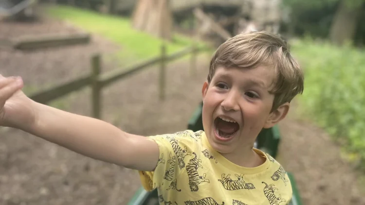 We are closer than ever to allergy-safe schools. Now Parliament must finish the job