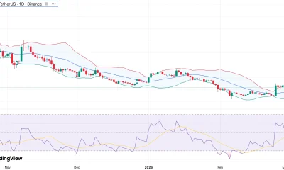Polkadot price prediction ahead of tokenomics upgrade capping DOT supply - 1