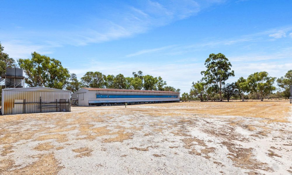 Ex-Wallaby-backed oat mill approved