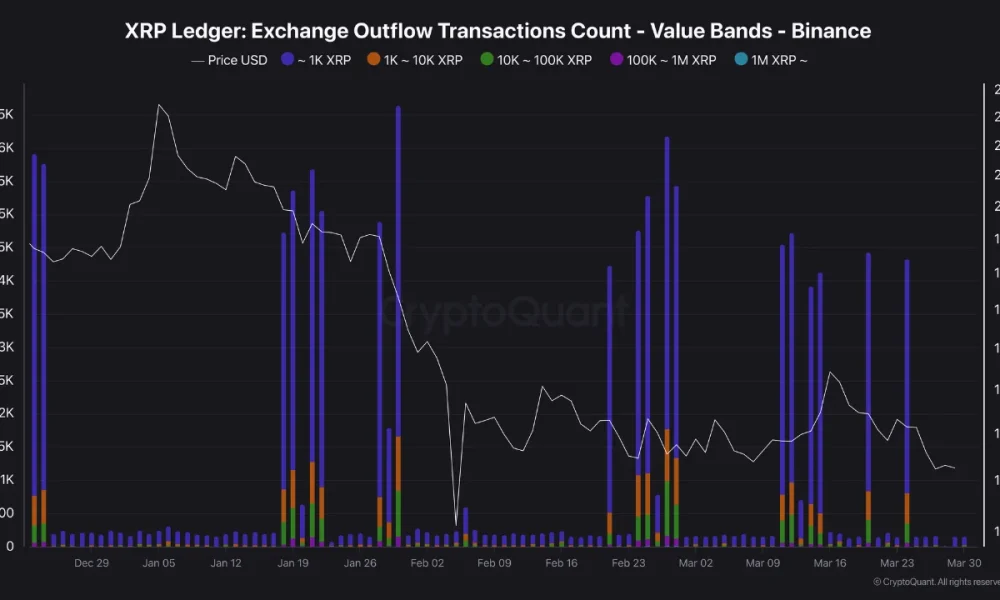 XRP Holds Steady Between $1.30 and $1.50 as Whales and Mid-Sized Investors Keep Accumulating