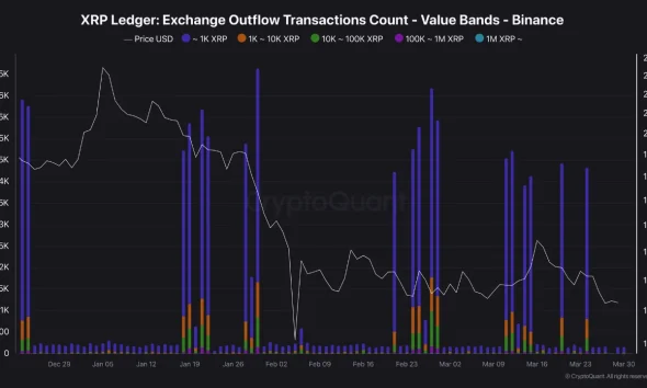 XRP Holds Steady Between $1.30 and $1.50 as Whales and Mid-Sized Investors Keep Accumulating
