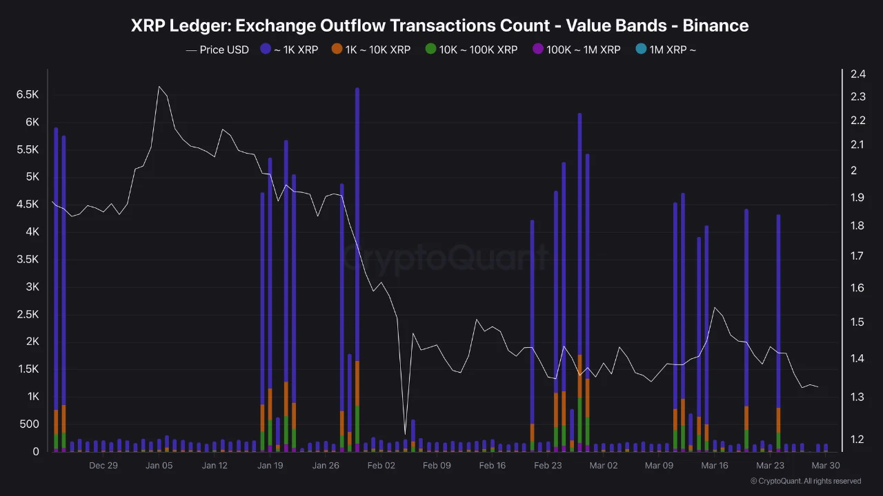 XRP Holds Steady Between $1.30 and $1.50 as Whales and Mid-Sized Investors Keep Accumulating