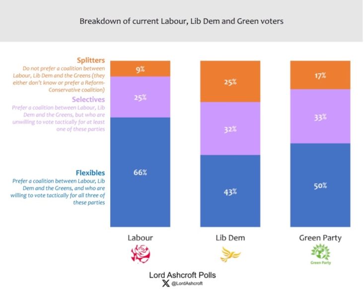 Lord Ashcroft: Can Starmer negotiate the left’s coalition of chaos?