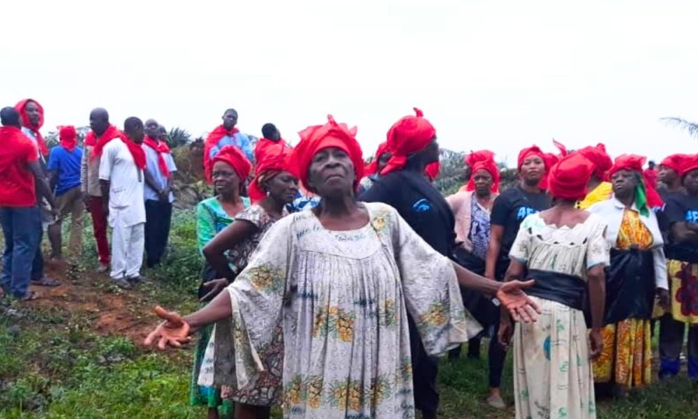 World’s largest pension fund dumps company over plantation violations